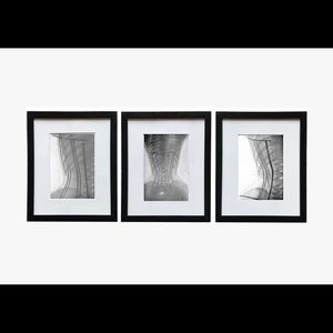 COPY - 3 Framed Prints of X-Ray Study in Corsets